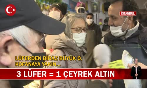 İstanbul'da Lüferin Tanesi 150 Lira Oldu! İşte Detaylar