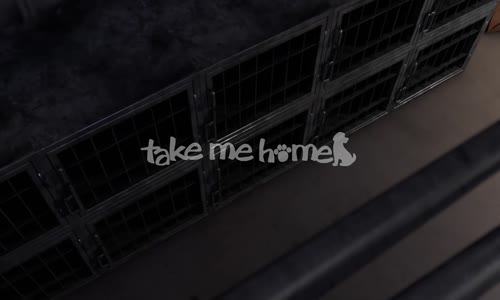 Take Me Home