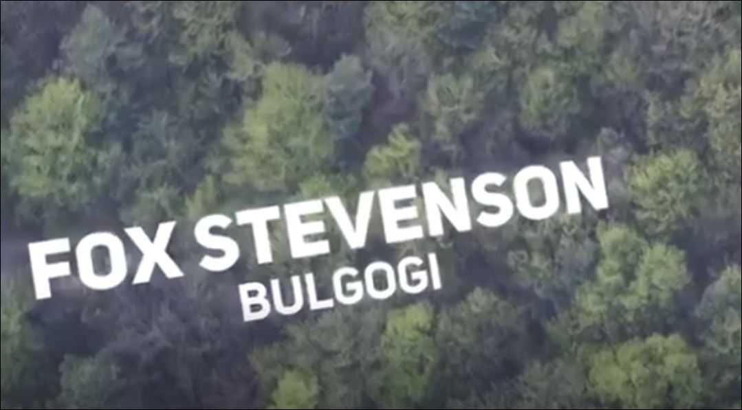 Fox Stevenson - Bulgogi Bass Boosted