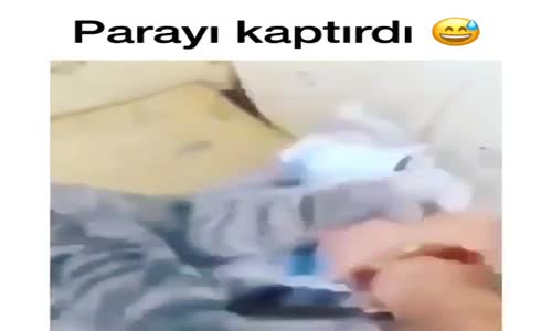 Parayı Kaptırdı