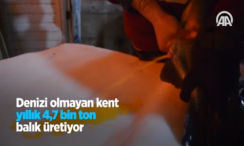 Denizi Olmayan Kent Yıllık 4,7 Bin Ton Balık Üretiyor 