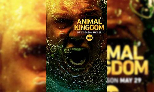 Animal Kingdom 3. Sezon 4. Bölüm İzle