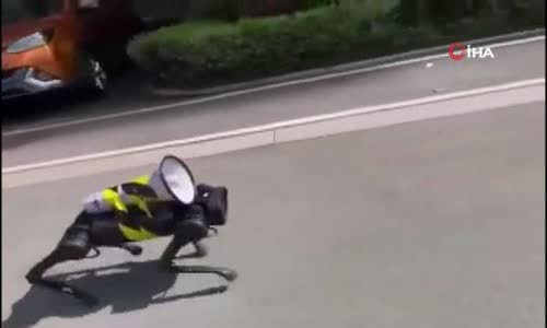 Şanghay'da Sokaklarda Dolaşan Robot Köpek Gündem Oldu 