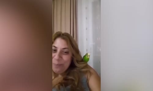 Sahibine Çok Konuşma Kalk Bir Çay Koy Diyen Muhabbet Kuşu