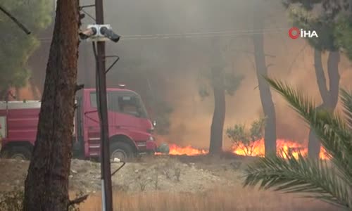 Hatay'daki yangın farklı noktalara sıçradı