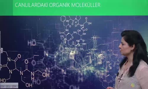 EBA BİYOLOJİ LİSE - CANLILARIN YAPISINDA BULUNAN TEMEL BİLEŞİKLER - ORGANİK MOLEKÜLLERİNİN GENEL ÖZELLİKLERİ - CANLILARDAKİ ORGANİK MOLEKÜLLER I