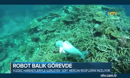 Aşırı Gerçekçi Robot Balık 