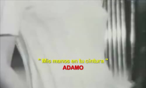 Mis Manos En Tu Cintura Adamo