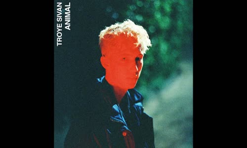 Troye Sivan - Animal