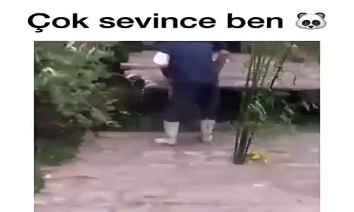 Sevimli Pandanın Sahibine Duyduğu Sevgi