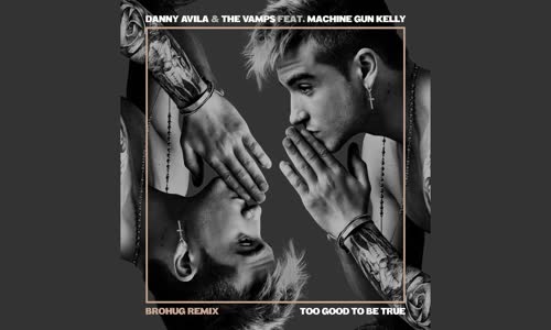 Danny Avila & The Vamps - Too Good To Be True Ft. Machine Gun Kelly (Brohug Remix)