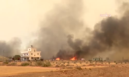 Vahap Seçer, Silifke ve Aydıncık’ta yangın bölgelerini inceledi