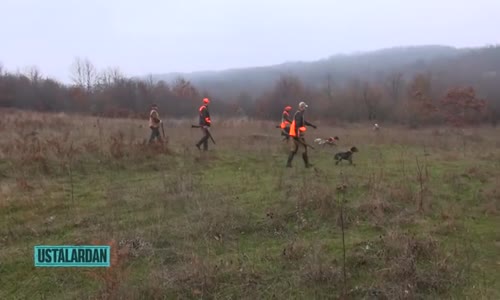 Ustalardan Trakya Çulluk Avı 