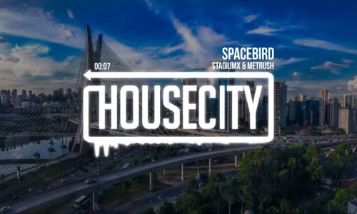 StadiumX & Metrush - Spacebird 