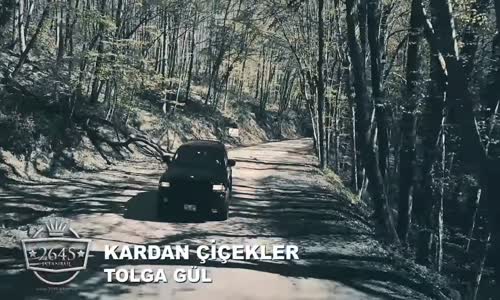 Tolga Gul - Kardan Çiçekler 