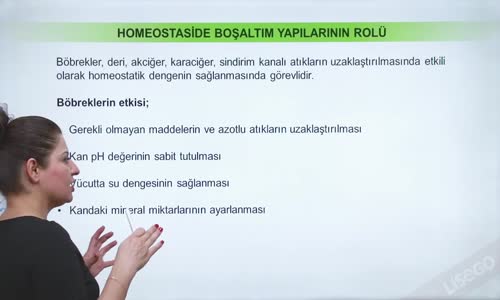 EBA BİYOLOJİ LİSE - ÜRİNER SİSTEM - HOMEOSTASİDE BOŞALTIM YAPILARININ ROLÜ