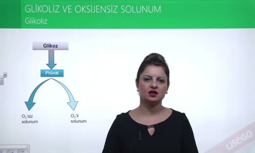 EBA BİYOLOJİ LİSE - HÜCRESEL SOLUNUM - GLİKOZ VE OKSİJENSİZ SOLUNUM - GLİKOZ