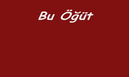 Burcu Güneş Öğüt