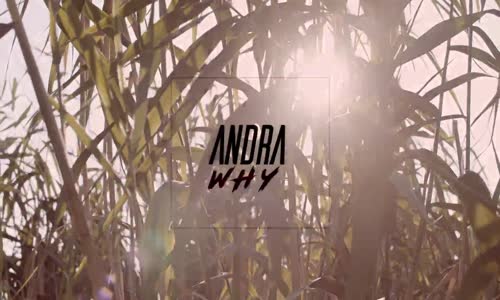 Andra - Why