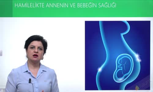 EBA BİYOLOJİ LİSE - ÜREME SİSTEMİ VE EMBRİYONİK GELİŞİM - MENSTRUASYON DÖNGÜSÜ VE EMBRİYONİK GELİŞİM - HAMİLELİKTE ANNENİN VE BEBEĞİN SAĞLIĞI