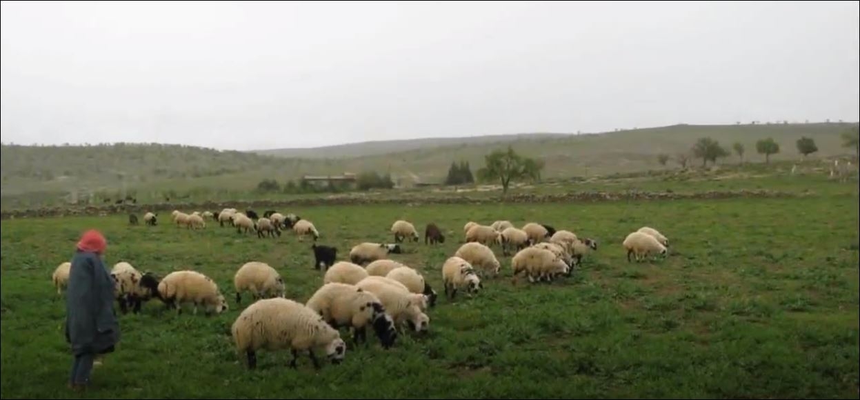 Karışık En Çok Di̇nlenen Duygusal Türküler Şarkılar