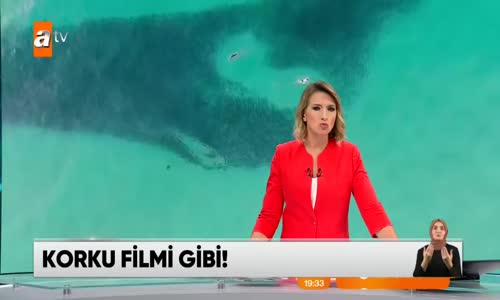 Korku filmi gibi!