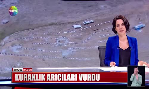 Kuraklık arıcıları vurdu