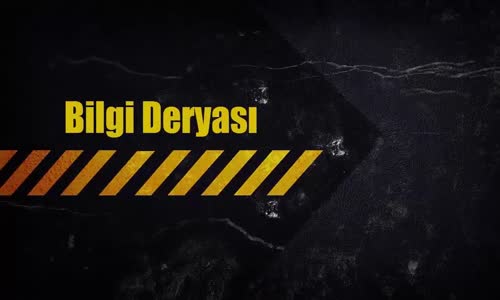 Dünyanın En Zehirli En Tehlikeli 10 Yılan Türü