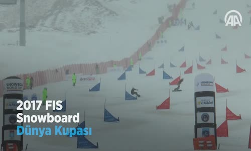 2017 FIS Snowboard Dünya Kupası