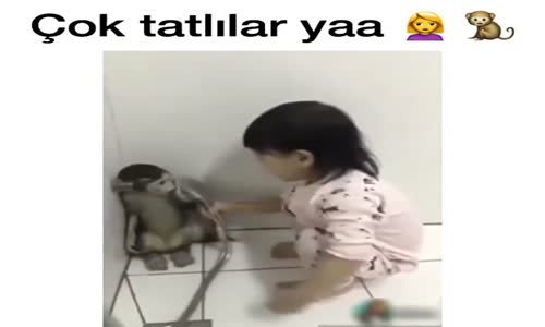 Maymunla Kızın Arkadaşlığı