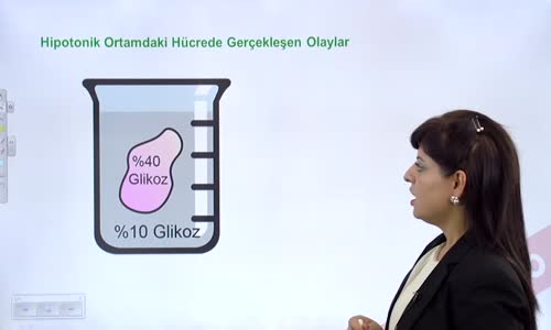 EBA BİYOLOJİ LİSE - CANLILARIN TEMEL BİRİMİ HÜCRE - HÜCRE ZARINDA MADDE ALIŞVERİŞİ  PLAZMOLİZ, DEPLAZMOLİZ, TURGOR, HEMOLİZ  - HİPOTONİK ORTAMDA HÜCRE