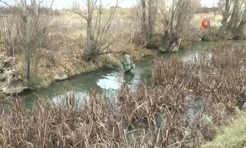 Suların kalitesini yok eden istilacı balıklar Eskişehir’de görüldü 