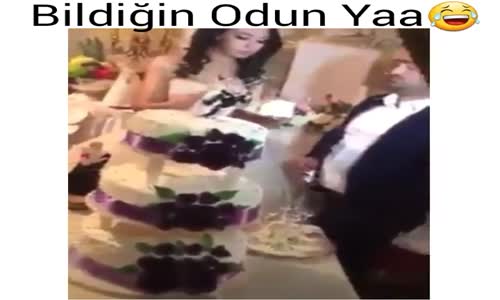 Damadın Odunluğu