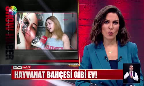 Hayvanat bahçesi gibi ev!