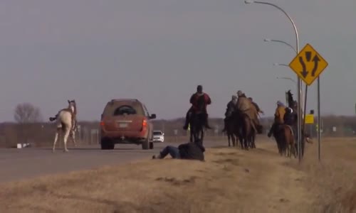 Sahibini Üzerinden Atarak Koşmaya Devam Eden At 