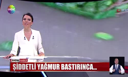 Şiddetli yağmur bastırınca...