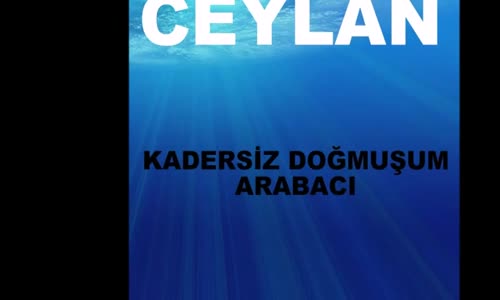 Ceylan - Arabacı