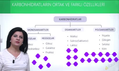 EBA BİYOLOJİ LİSE - CANLILARIN YAPISINDA BULUNAN TEMEL BİLEŞİKLER - KARBONHİDRATLAR - KARBONHİDRATLARIN ORTAK VE FARKLI ÖZELLİKLERİ