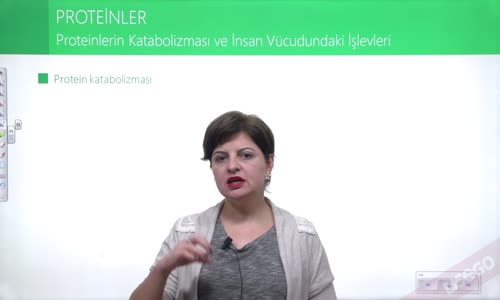 EBA BİYOLOJİ LİSE - CANLILARIN YAPISINDA BULUNAN TEMEL BİLEŞİKLER - PROTEİNLER - PROTEİNLERİN KATABOLİZMASI VE İNSAN VÜCUDUNDAKİ İŞLEVLERİ