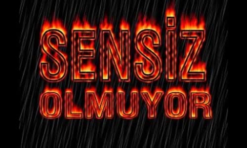 Orhan Esen - Sensiz Olmuyor