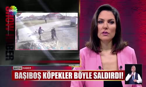 Başıboş köpekler böyle saldırdı!