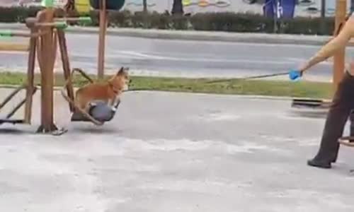 Köpeğini Park Spor Aletlerinde Eğlendiren Amca