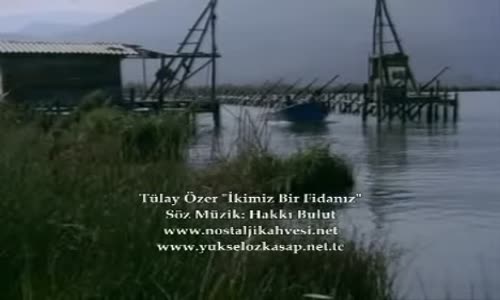 Tülay Özer  İkimiz Bir Fidanız 