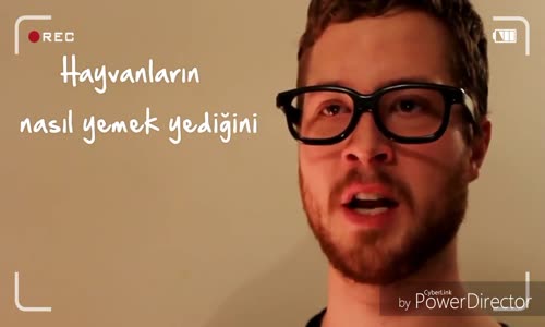 Hayvanlar Yemeklerini Nasıl Yerler