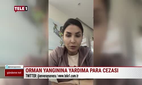 28 Bin TL'lik Orman Yangını Yardımına Para Cezası