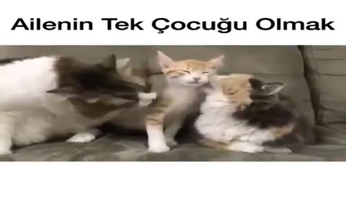 Ailenin Tek Çocuğu Olmak