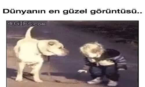 Dünyanın En Güzel Görüntüsü