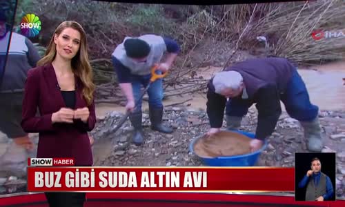 Buz gibi suda altın avı