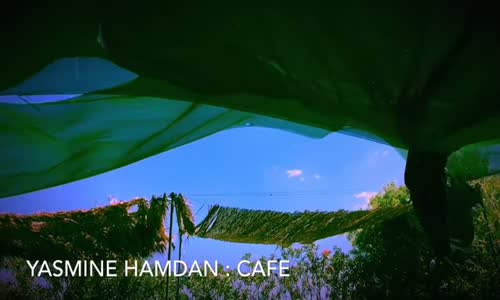 Yasmine Hamdan - Cafe