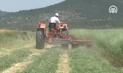 Cumhurbaşkanı Erdoğan'ın Müjdeleri Çiftçiyi Sevindirdi 